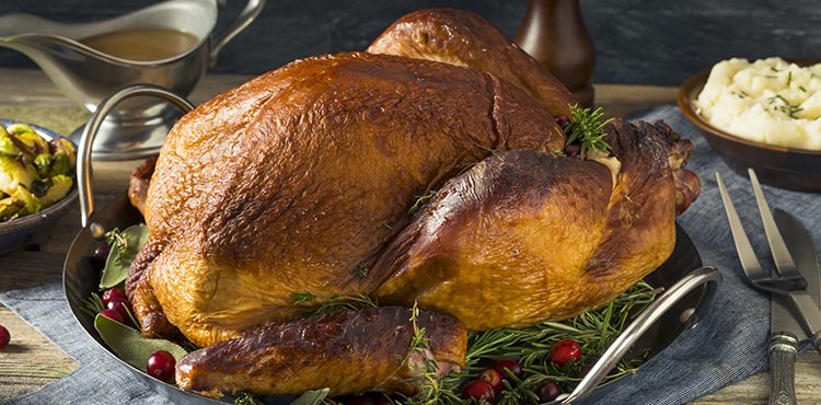 Thanksgiving Turkey