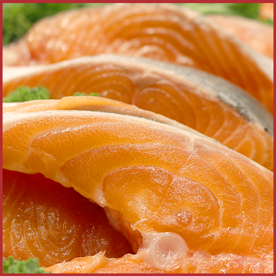 Close up of salmon